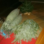 Krippenaufbau Mariahilf